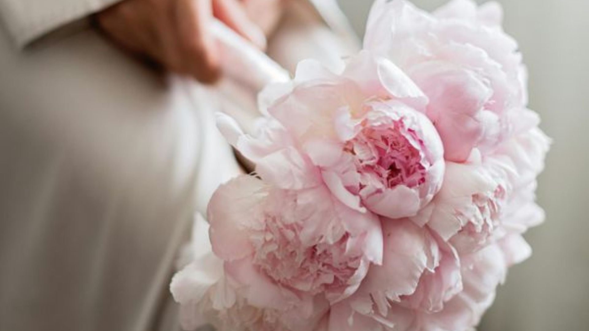 DIY Your Own Peony Bridal Bouquet