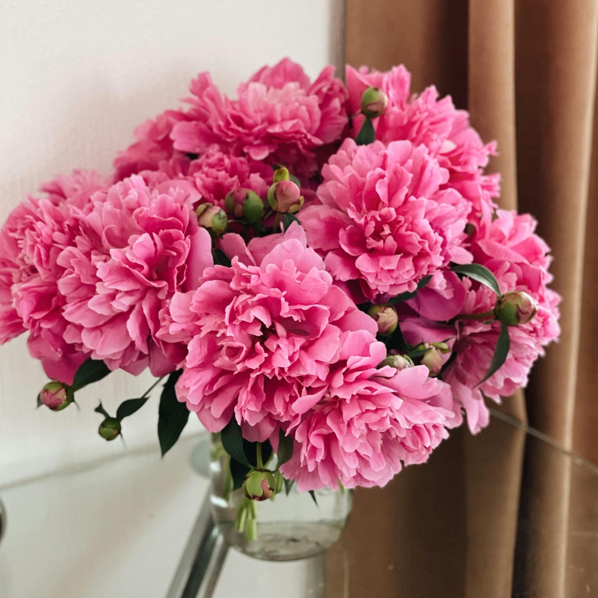 The Classic Peony Bouquet (12 stems)