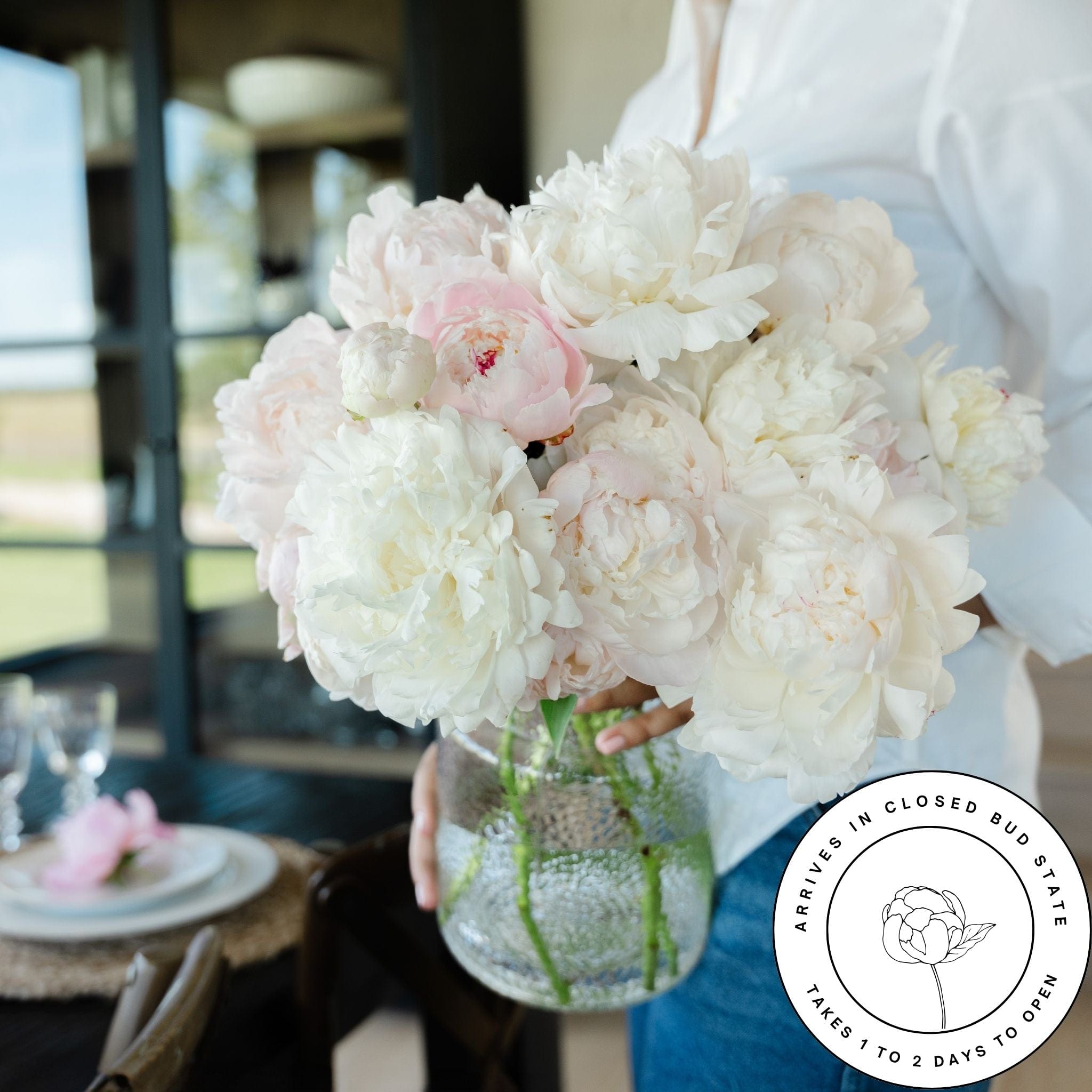 White-Cream The Celebration Peony Box (100 stems)