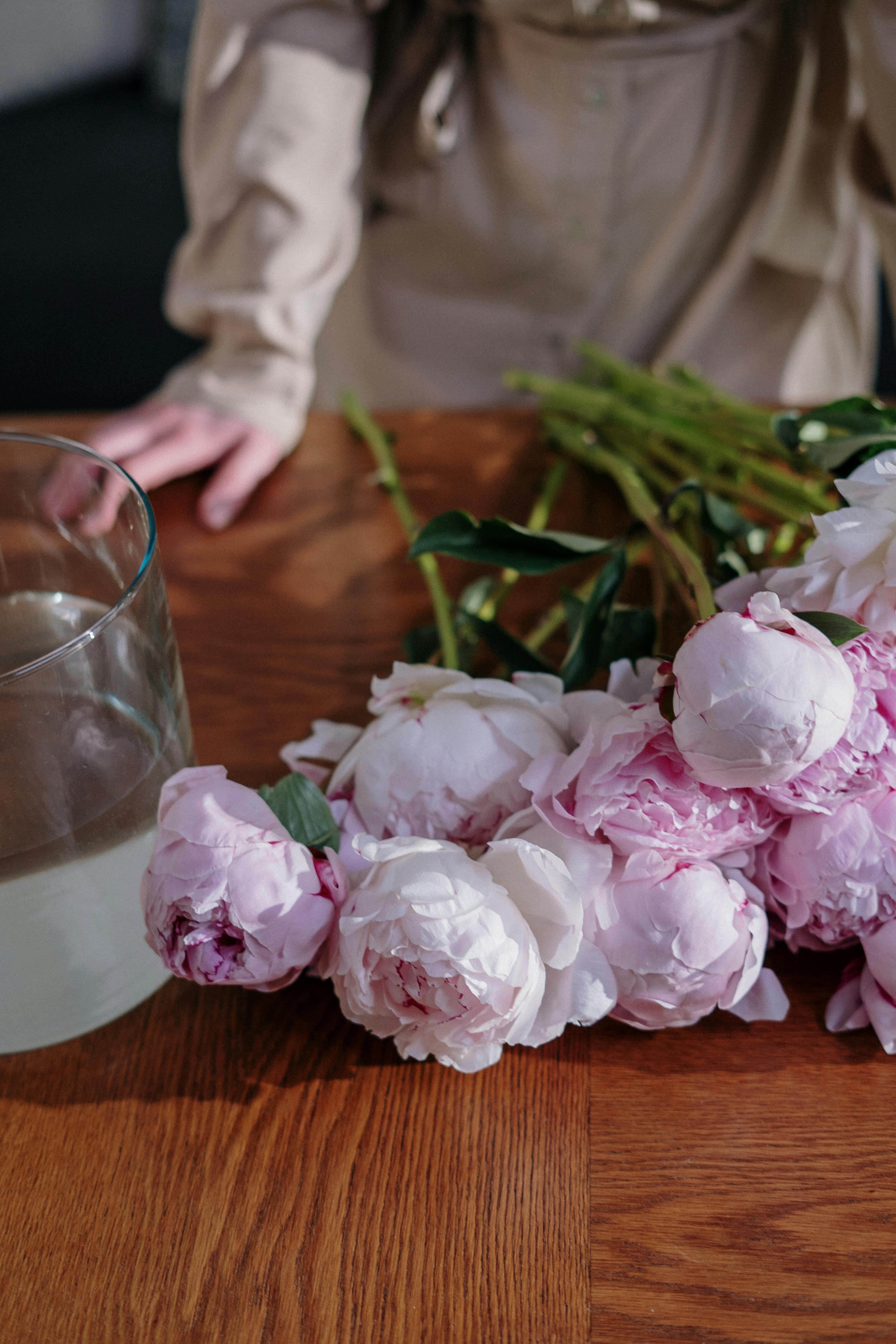 how to care for peonies