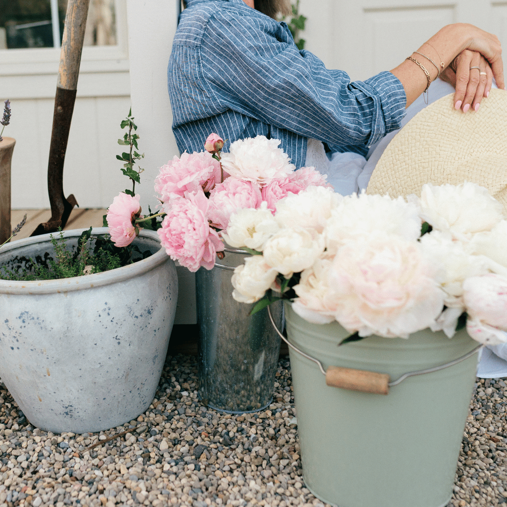 White-Cream The Estate Peony Box (50 Stems)