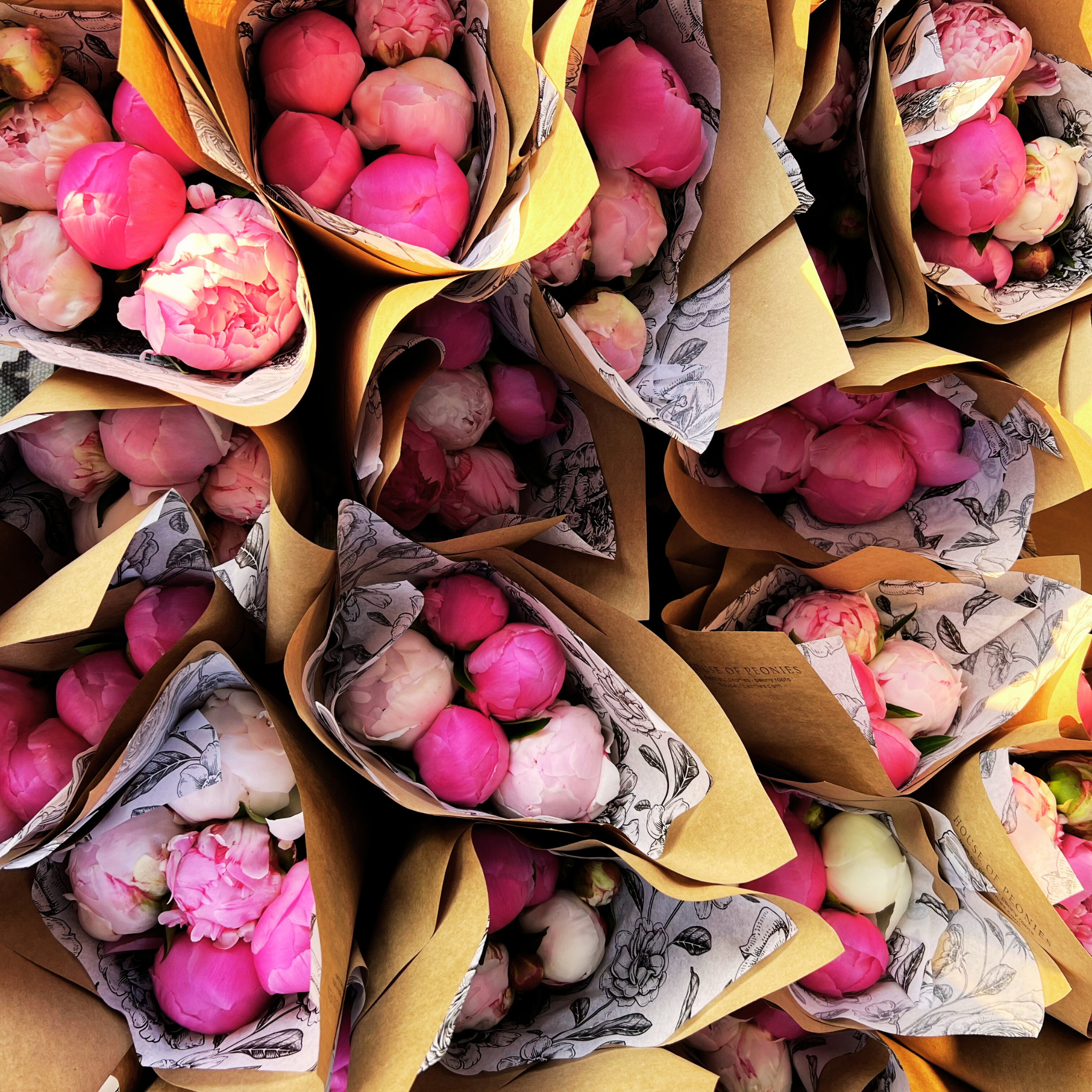 The Everyday Peony Bouquet