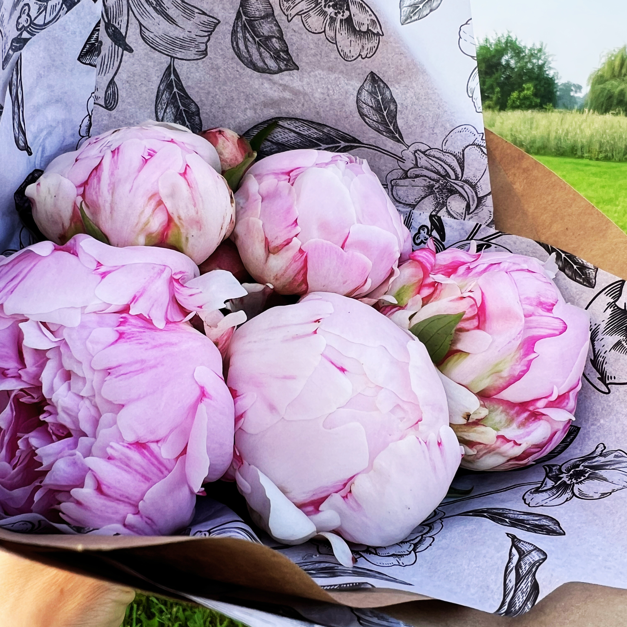 The Everyday Peony Bouquet